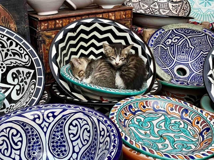 Dar Aya Essaouiraアパートメント エクステリア 写真